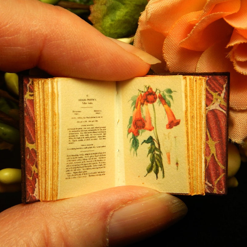 Miniature Book - Etsy