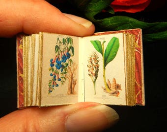 Flora of the Americas: a leather miniature book in 12th scale, hand bound in beige with full colour antique illustration of flowers