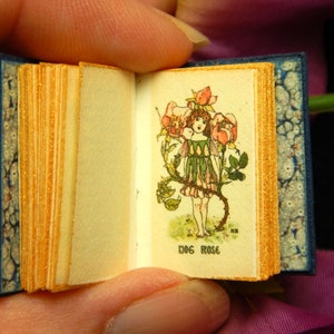May include: A tiny open book with blue covers and gold-edged pages. The illustration shows a girl with roses, and the text "DOG ROSE". The book is held open, revealing the detailed artwork within. The book's size is approximately 2.5 cm.