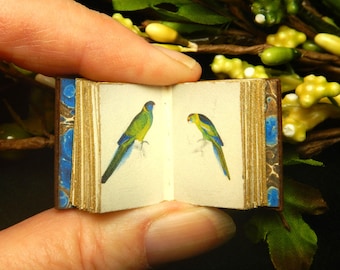 Miniature Parrot Book: 12th Scale Dollhouse hand bound leather