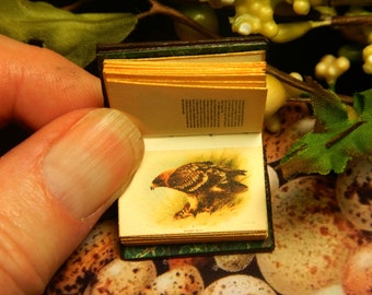 Birds of the British Islands: a leather miniature book in 12th scale, hand bound in brown with colour antique illustration of British birds
