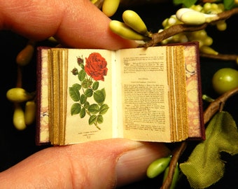 Miniature Leather Book: 12th Scale, Favourite Flowers of Garden and Greenhouse