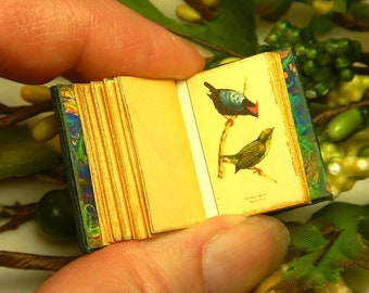 Birds of Brazil and Mexico: a leather miniature book in 12th scale, hand bound in green with turnable pages and antique colour illustration