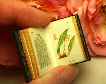 Addisonia Miniature Book: 12th Scale, Green Leather, Antique Flower Illustration, US tariff free