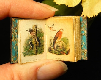 Birds of Prey Miniature Book: 12th Scale Leather Book with Antique Illustrations