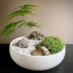 May include: A white ceramic bowl contains a miniature zen garden. The garden features small rocks, white pebbles, green moss, and a small green plant. The bowl is round and has a smooth, glossy finish.