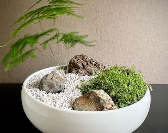 May include: A white ceramic bowl contains a miniature zen garden. The garden features small rocks, white pebbles, green moss, and a small green plant. The bowl is round and has a smooth, glossy finish.