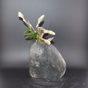 Natural stone vase, flower vase, Suiseki stone vase, custom stone vase, unique stone vase