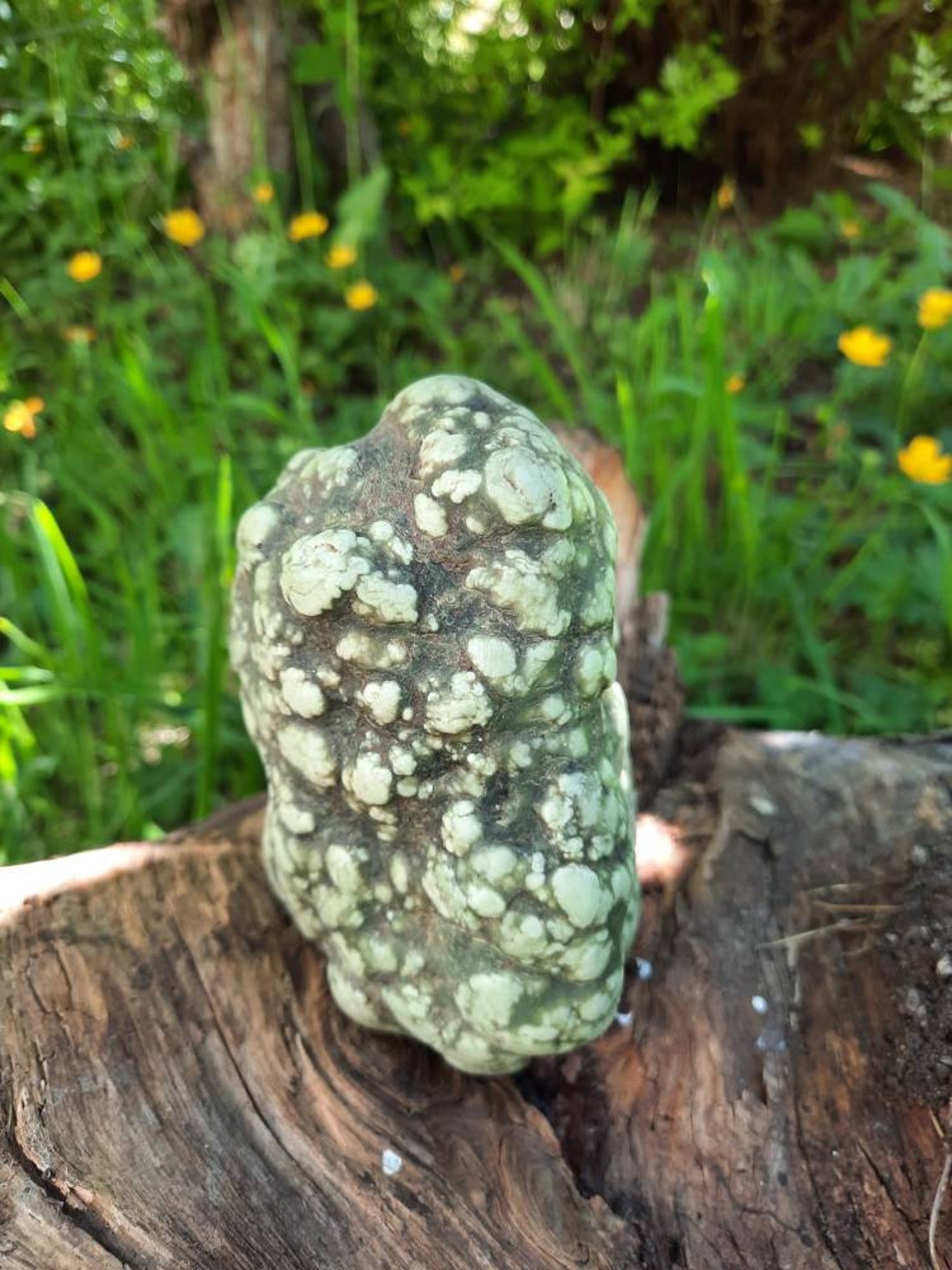 Eel River botryoidal jade | Etsy