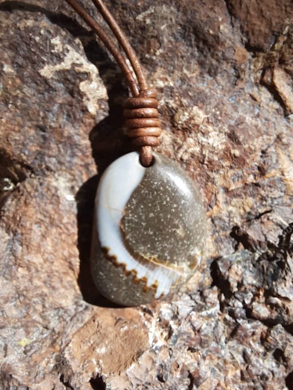 Agatized fossil clam shell pendant