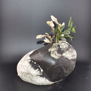 natural stone vase, flower vase, stone vase, dried flower vase, home decor, indoor/outdoor