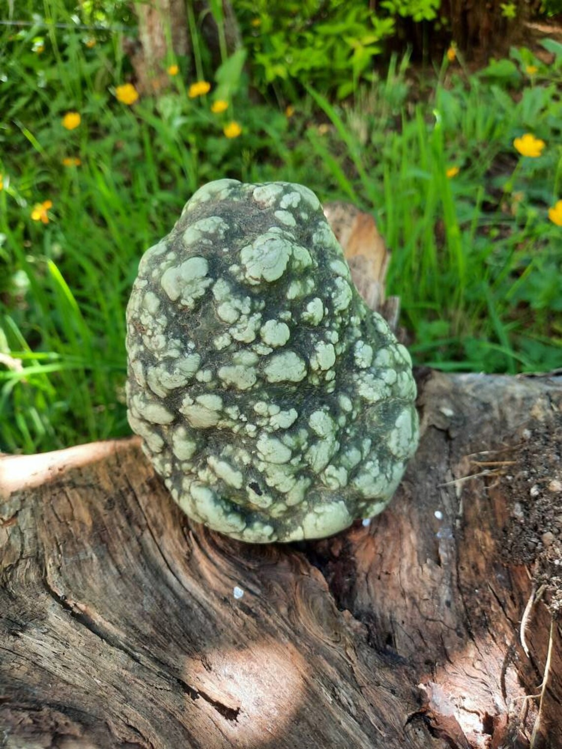 Eel River botryoidal jade | Etsy