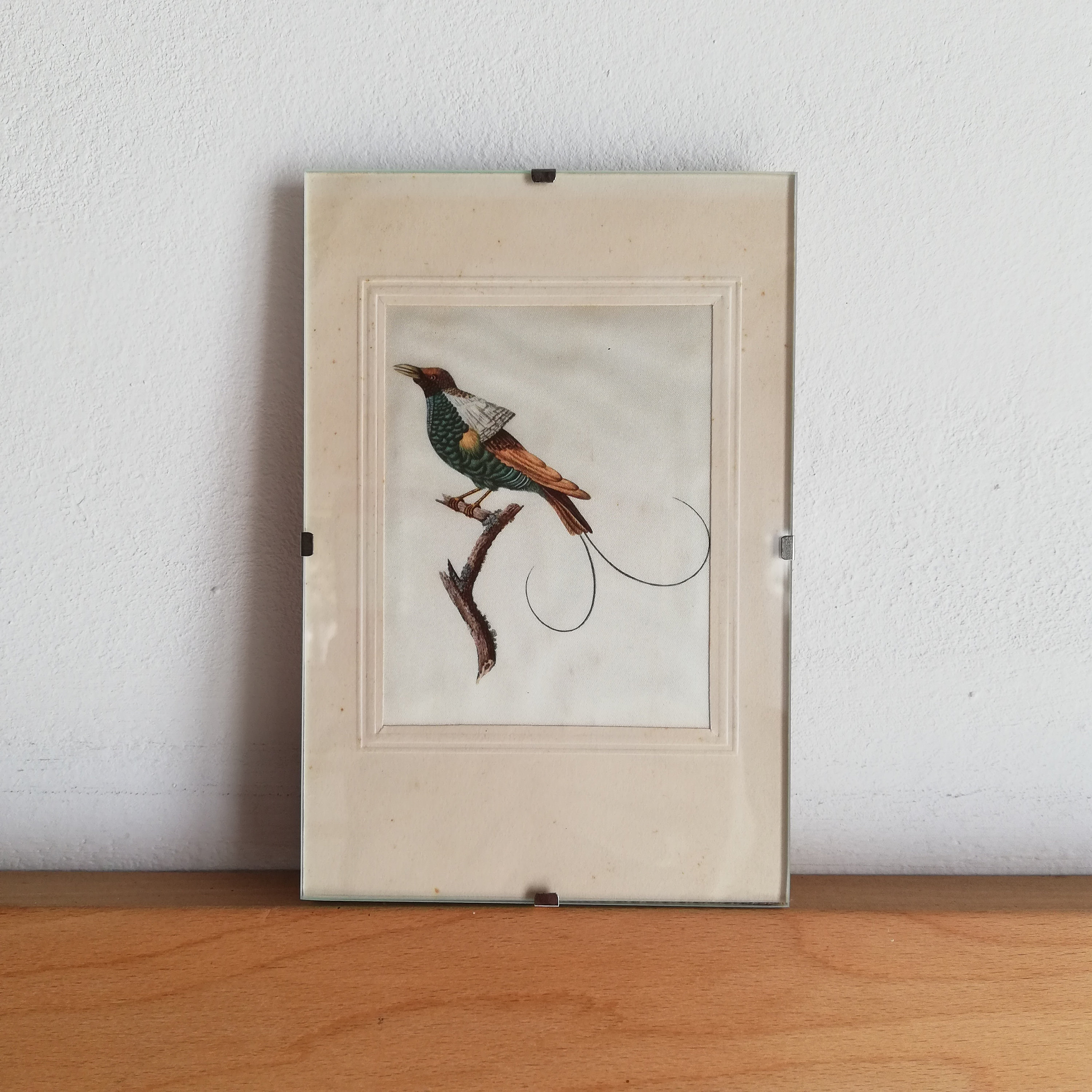 Cadre Oiseau sur Soie - Impression Soie