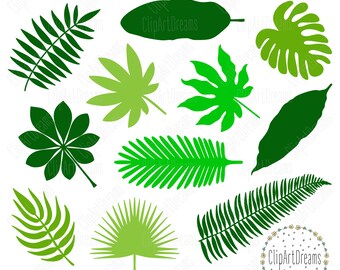 Download Free Jungle Leaf Svg Etsy SVG Cut Files