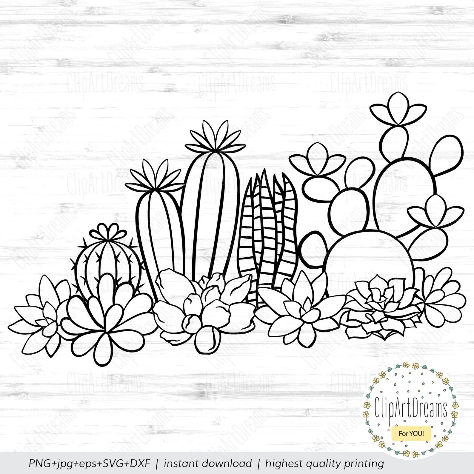 Cactus and Succulents SVG Border Summer Boho Clipart Cut | Etsy