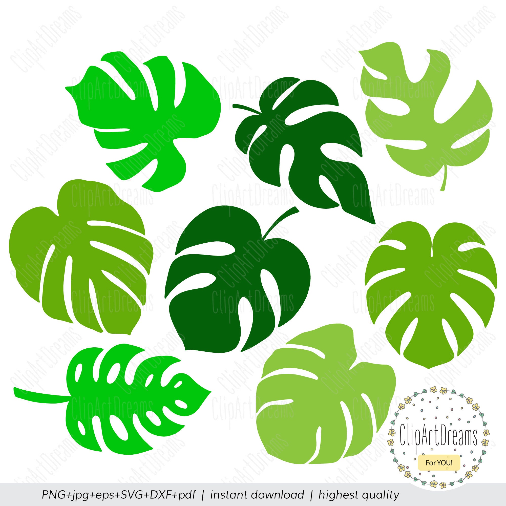 Hand Drawn Clipart Tropical Plant Svg File Jungle Lea vrogue.co