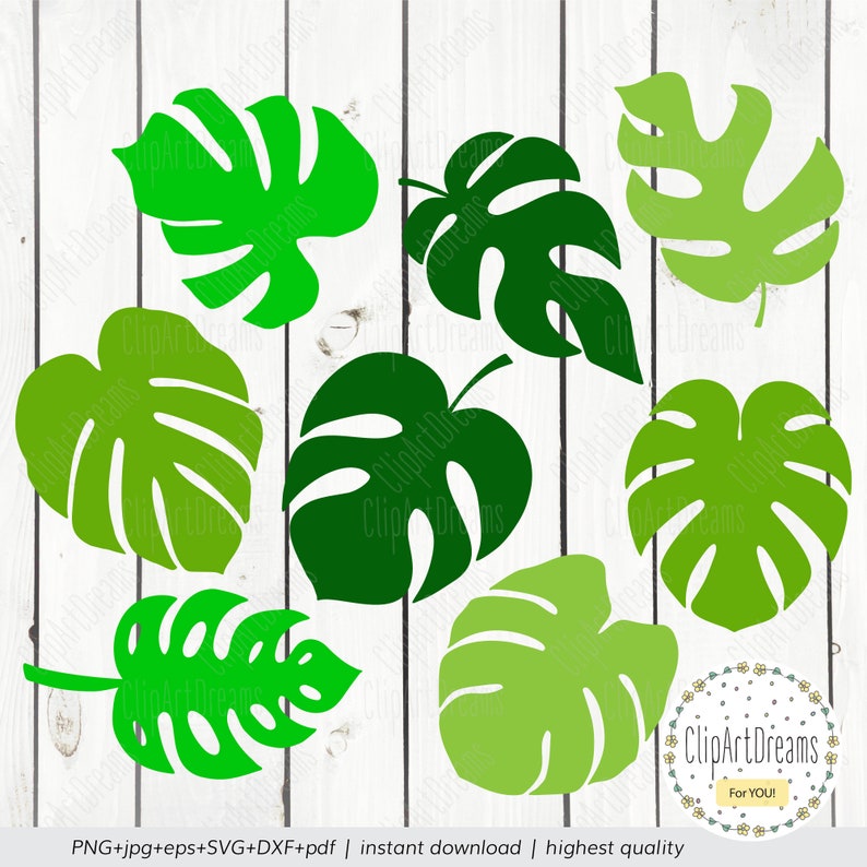 Download Monstera cutting file Monstera SVG Tropical palm leaves ...