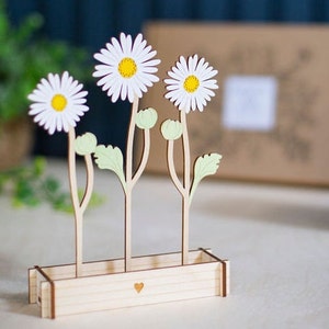 Personalised Daisies in its own Flower Box