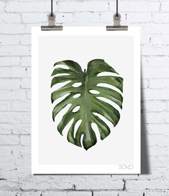 Zeigt Journal Monstera Monstera Blatt tropischen Wandkunst
