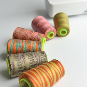 Mairbeon 1 Roll Embroidery Thread with Metallic Luster DIY Polyester Wide  Application Cross Stitch Sewing Thread Spool for Home 
