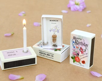 March Birth Flower Seeds In A Matchbox, Birthday Gifts For Her, Birthday Card For Her, Phlox Birth Flower