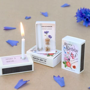 December Birth Flower Gift In A Matchbox, Birthday Gifts For Her, Birthday Card For Her, Cornflower Birth Flower Seeds