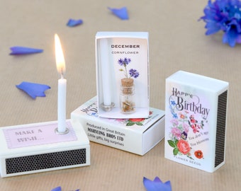 December Birth Flower Gift In A Matchbox, Birthday Gifts For Her, Birthday Card For Her, Cornflower Birth Flower Seeds