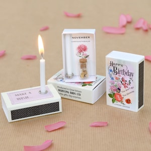 November Birth Flower Gift In A Matchbox, Birthday Gifts For Her, Birthday Card For Her, Chrysanthemum Birth Flower Seeds
