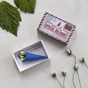 Livraison spéciale Bouquet miniature bébé garçon, nouvelle carte bébé, nouveau cadeau bébé