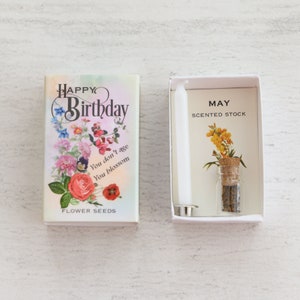 May Birth Flower Seeds In A Matchbox, Birthday Gift For Her, Birthday Card For Her, Stock Birth Flower, Alternative Birthday Card image 2