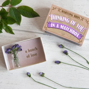 Thinking Of You Gift In A Matchbox, Sympathy Gifts, Sympathy Cards, Condolence Card, Thinking Of You Card, Sorry For Your Loss, Matchbox image 1