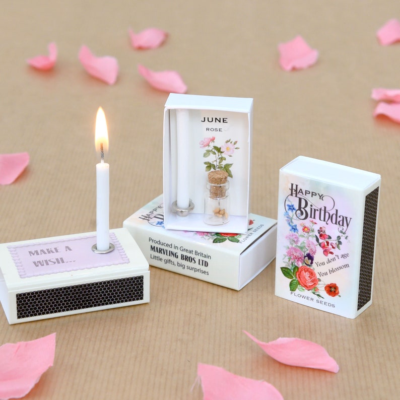 June Birth Flower Seeds In A Matchbox, Birthday Gifts For Her, Birthday Card For Her, Rose Birth Flower image 1