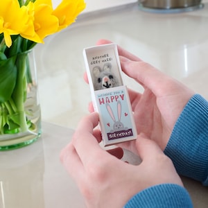 Funny Wool Felt Hare Birthday Gift in a Matchbox