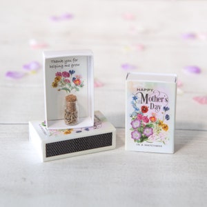 Mother's Day Gift - Wild Flower Seeds In A Matchbox