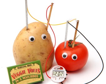 Vegetable Clock Science Kit In A Matchbox - Mini Science Kit - Educational Gift - Stocking Filler - Gift For Science Teacher - Kids Matchbox
