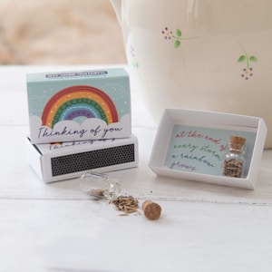 Thinking Of You Gift: Rainbow Wildflower Seeds in Matchbox