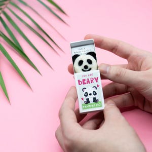 Vous êtes Beary Pandastic, panda en feutre de laine dans une boîte d'allumettes, cadeau panda mignon, cadeau meilleur ami, cadeau réconfortant, cadeau pour les amateurs de panda