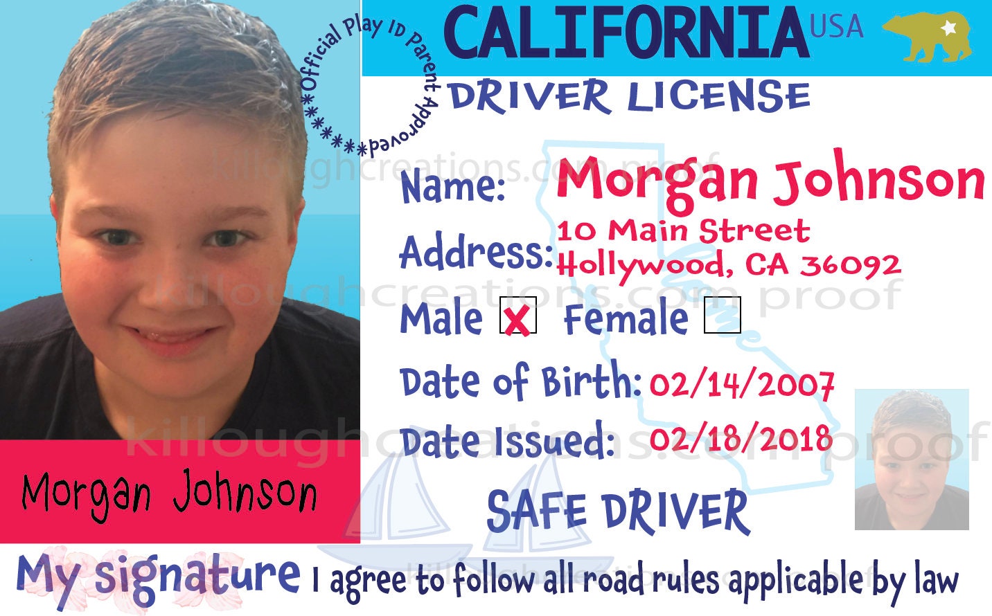 kids drivers license maker