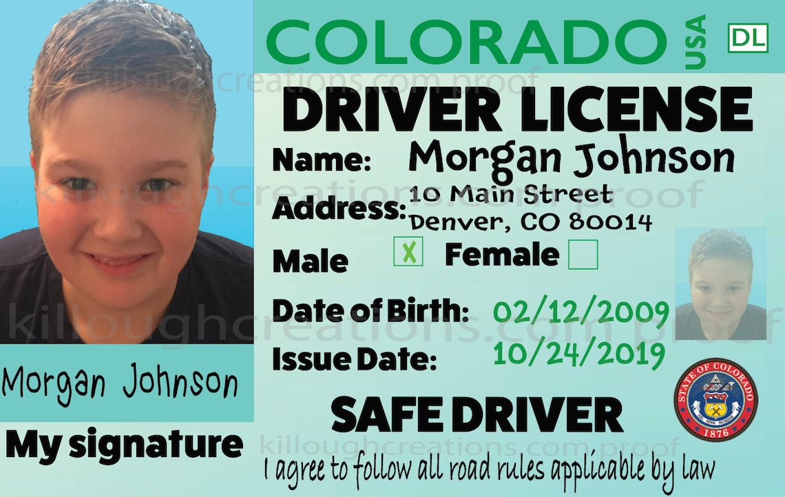 Kids Drivers License Choose your state to personalize metal | Etsy