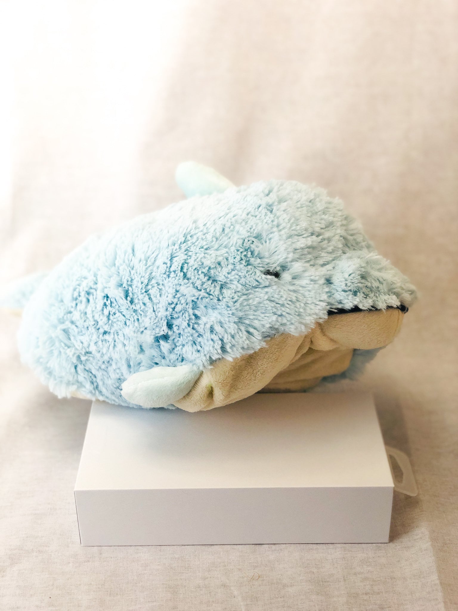 dolphin pillow pet