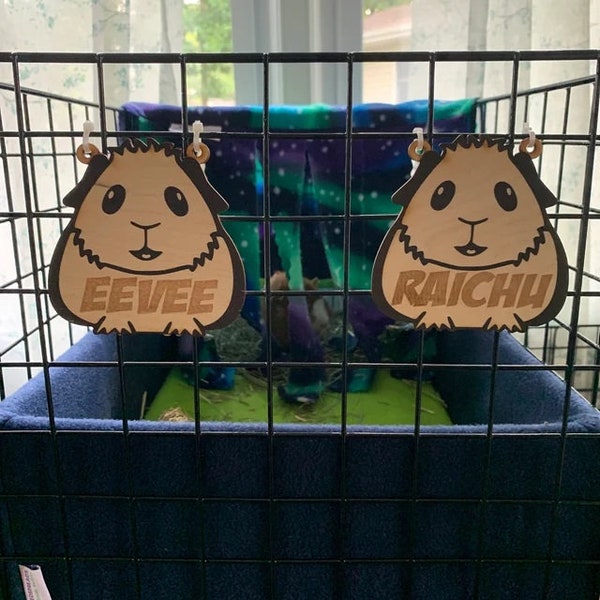 Custom Guinea Pig Cage Tags