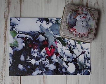 Winter Christmas Holly Card/ Blank Photo Greeting Cards/ 5X7
