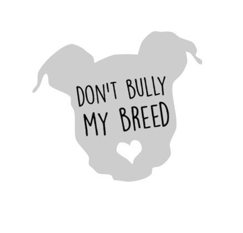Don t bully my breed essay picture