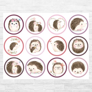 Hedgehog Cupcake Toppers Printable Digital Instant Download | Cute Hedgehog Birthday Party Supplies decorations