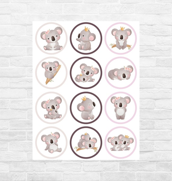 Cute Baby Koala Cupcake Birthday T Shirt Cute Baby Koala Cupcake Birthday T Shirt