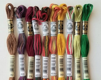 Autumn and holiday colors thread bundle, mixed solid and variegated DMC embroidery floss bundle