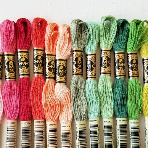 Spring Colors Hand Embroidery Floss Kit DMC Sixstranded Etsy