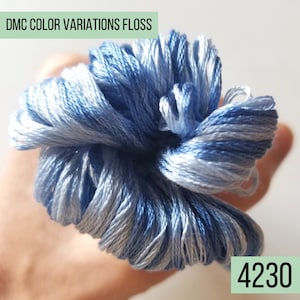DMC color variations cotton embroidery floss: 4210 through 4237. Single skein of cross stitch floss. Variegated six stranded thread. bild 8