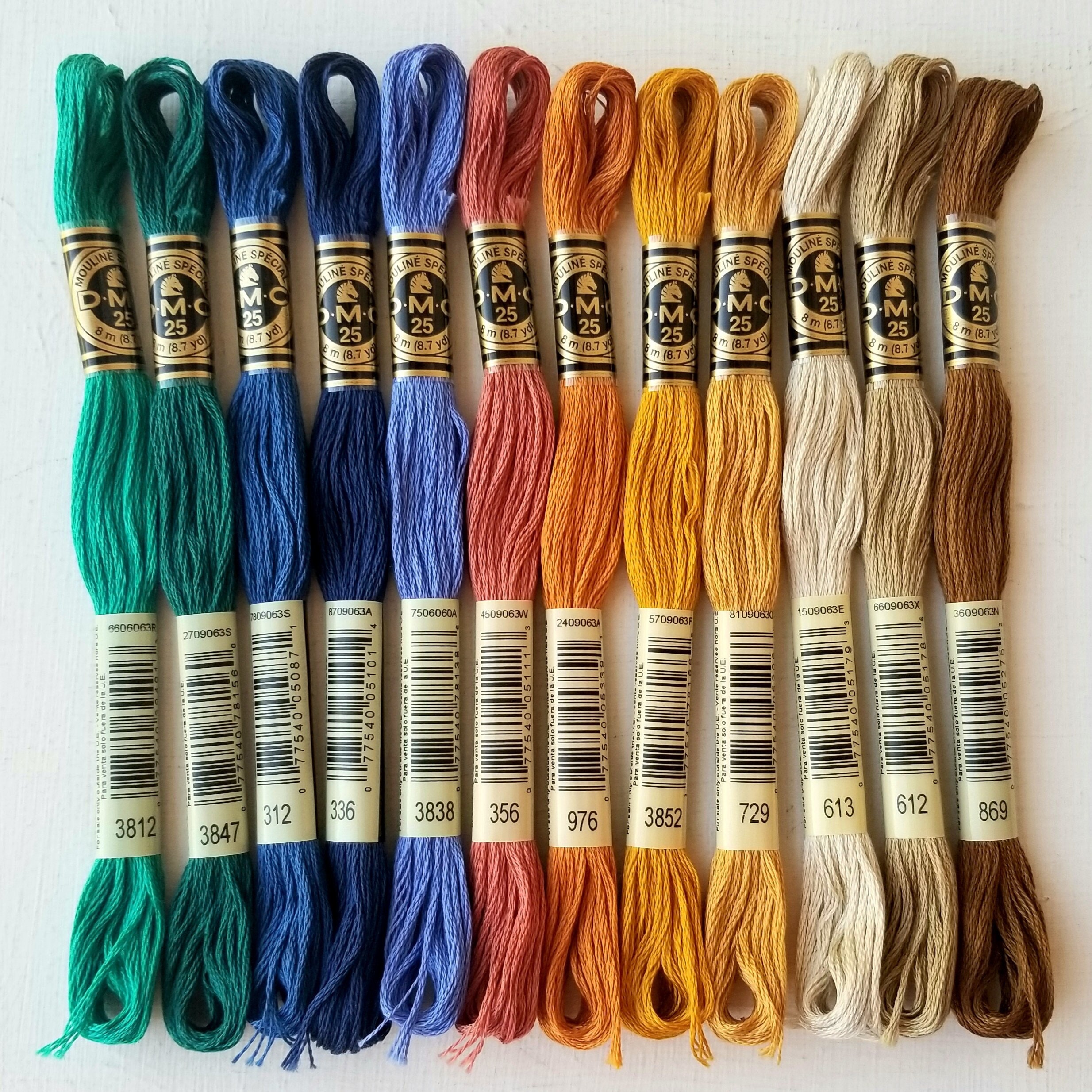 DMC 6-stranded Cotton Embroidery Floss, Bulk Thread Bundle, Needlework  Beginner Supply Set, Spring Colors Hand Embroidery Floss Skeins Kit 