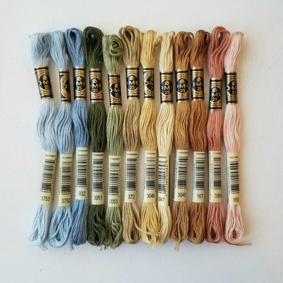 Kit De Fils à Broder 100 Couleurs - Coton Mercerisé 6 Brins, Écheveaux De 8 Mètres Pour Point De Croix, Bracelets, Loisirs Créatifs
